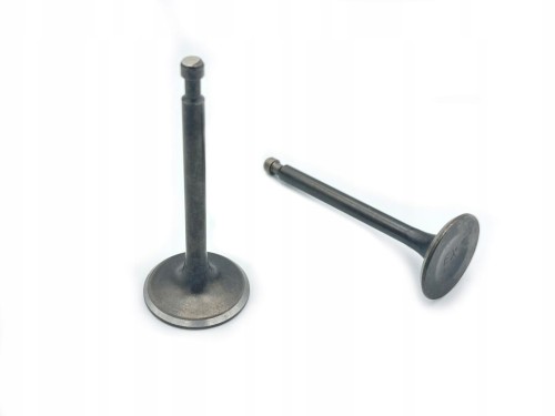 390ba88fce92cbe4dc25be820b72fa8b